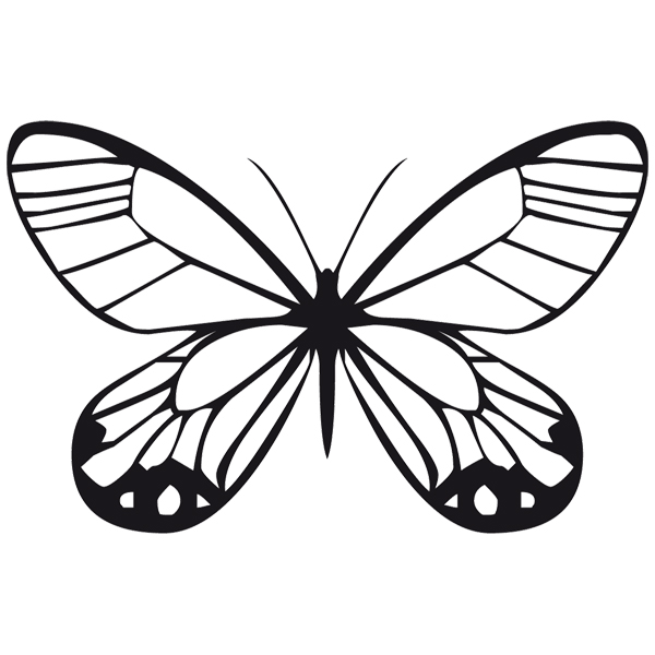 Wandtattoos: Schmetterlings Tatochila weiblich