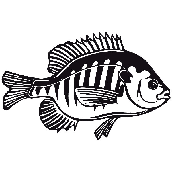 Wandtattoos: Fisch  Sargo