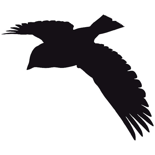 Wandtattoos: Fliegende Taube Silhouette