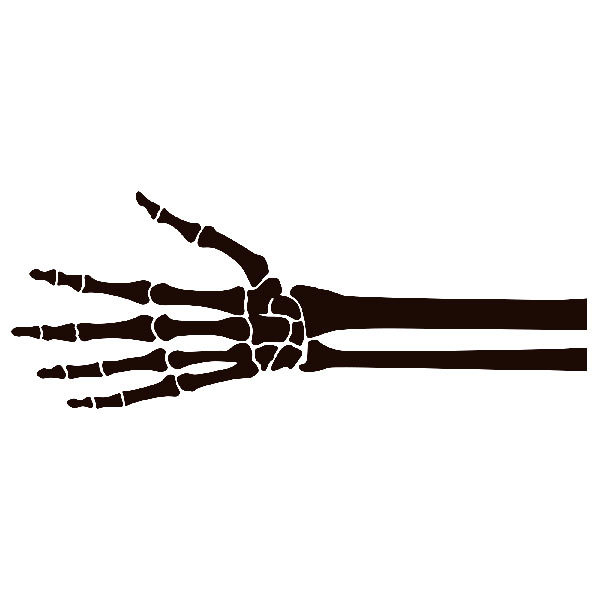 Aufkleber: Skelett eines Hand