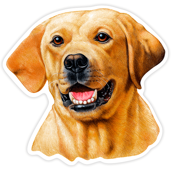 Aufkleber: Gelber Labrador Retriever