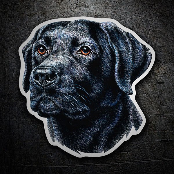 Aufkleber Hund Labrador Retriever Schwarz