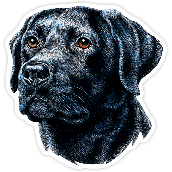 Aufkleber: Schwarzer Labrador Retriever