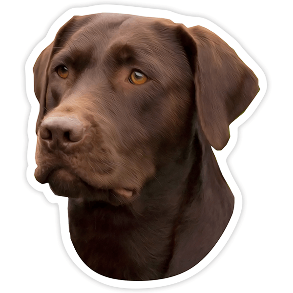 Aufkleber: Schokoladen-Labrador