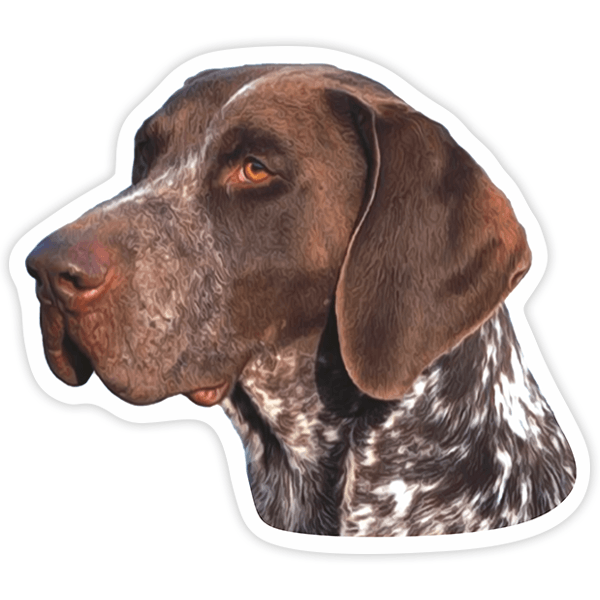 Aufkleber: German Shorthaired Pointer