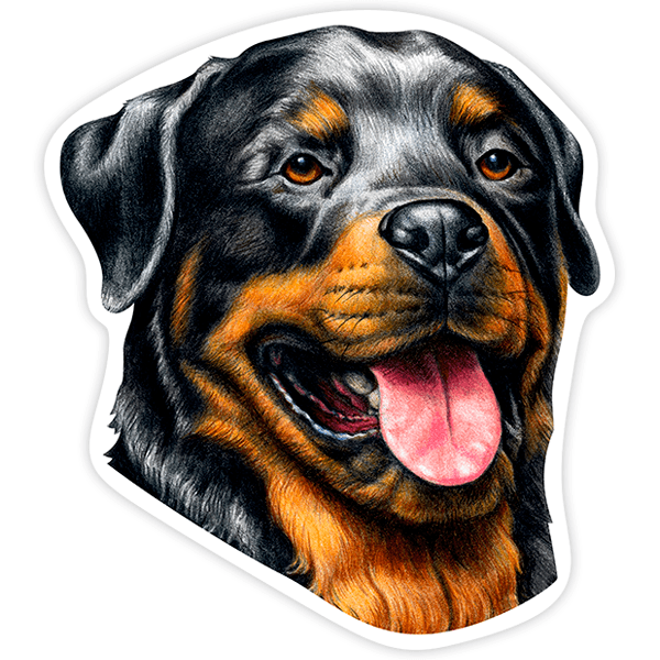 Aufkleber: Rottweiler