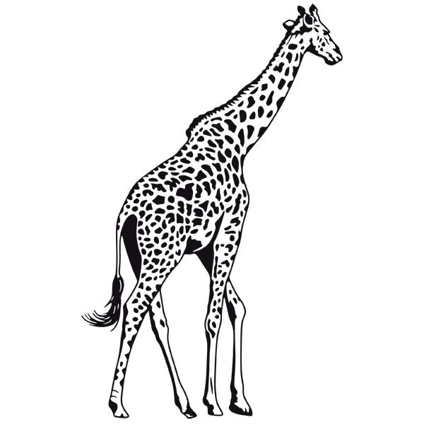 Wandtattoos: Giraffe in voller Länge