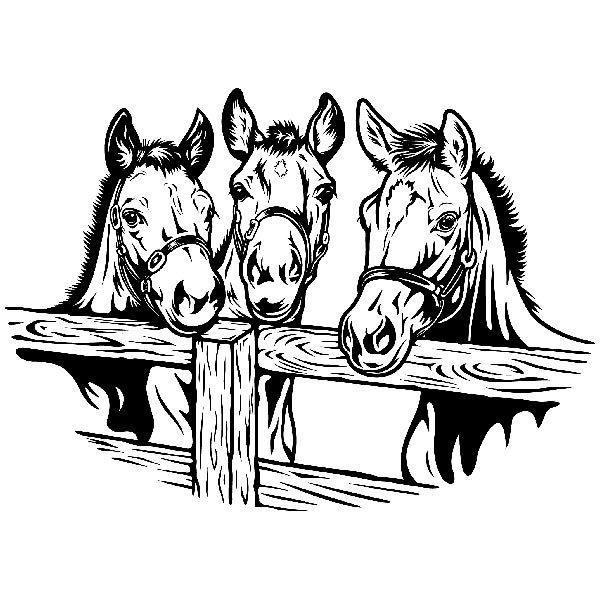 Wandtattoos: Drei Pferde