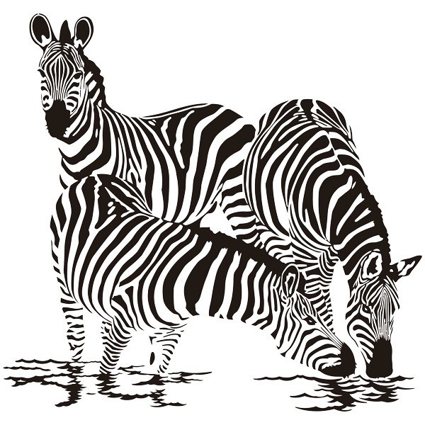 Wandtattoos: Zebras in dem Fluss