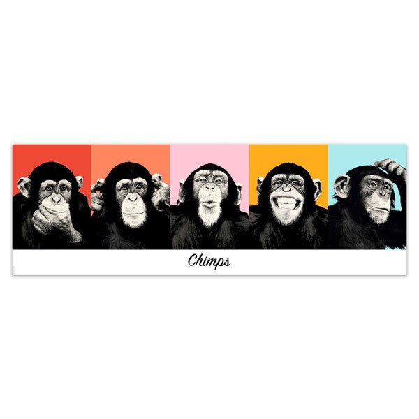 Wandtattoos: klebendes Poster von 5 Chimpanzees