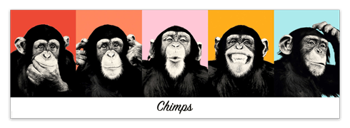 Wandtattoos: klebendes Poster von 5 Chimpanzees