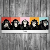Wandtattoos: klebendes Poster von 5 Chimpanzees 3