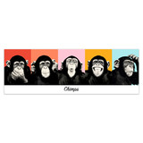 Wandtattoos: klebendes Poster von 5 Chimpanzees 4