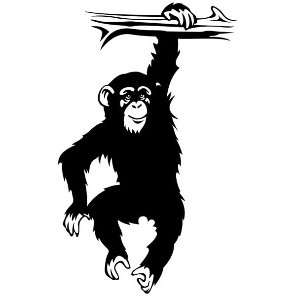 Wandtattoos: Schimpanse am Zweig