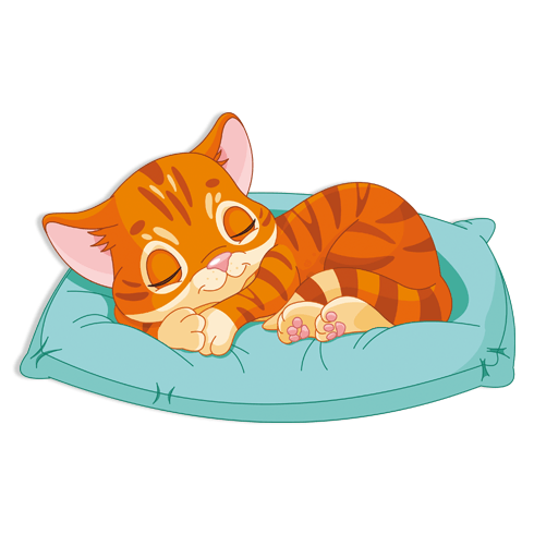 Kinderzimmer Wandtattoo: Schlafende Katze