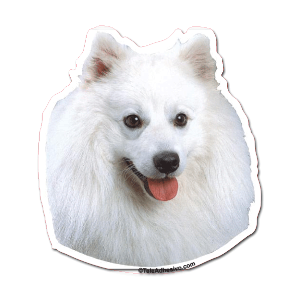 Aufkleber: American Eskimo