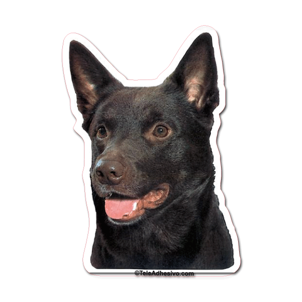 Aufkleber: Australian Kelpie