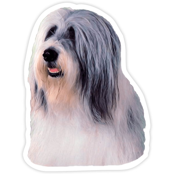 Aufkleber: Bearded Collie