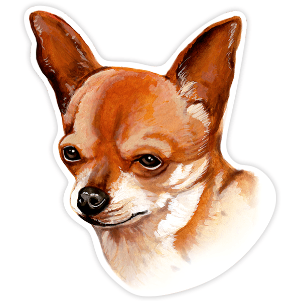Aufkleber: Smooth Chihuahua