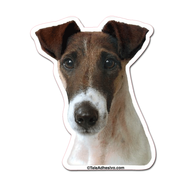 Aufkleber: Smooth Fox Terrier