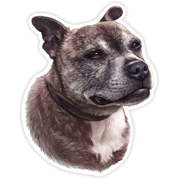 Aufkleber: Staffordshire Bull Terrier