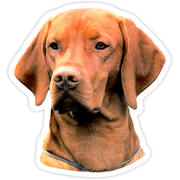 Aufkleber: Vizsla