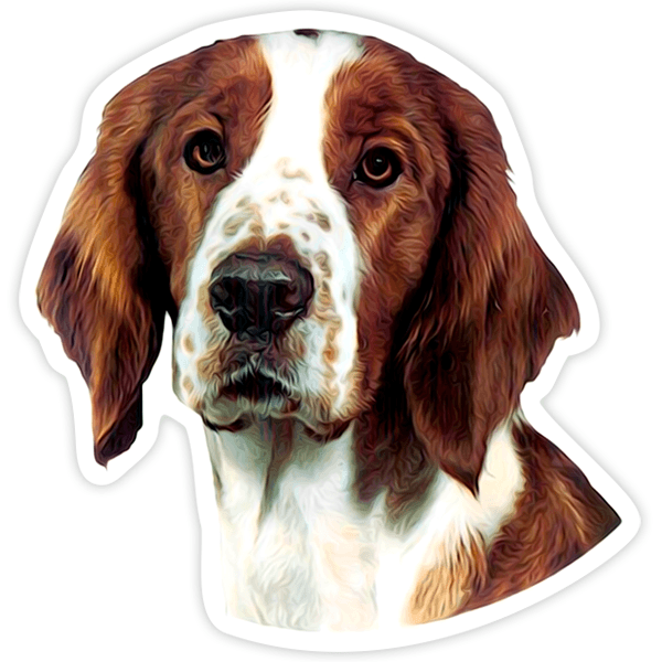 Aufkleber: Welsh Springer