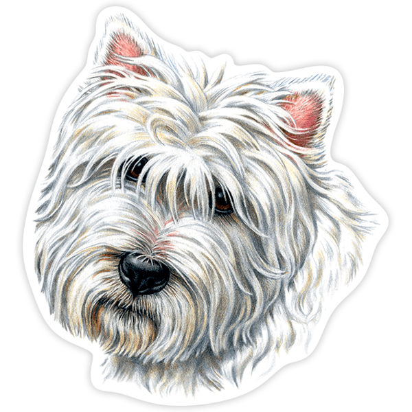 Aufkleber: West Highland Terrier