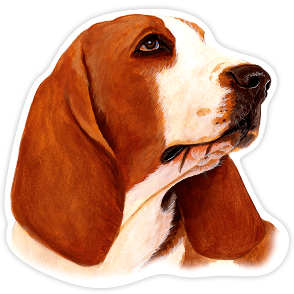 Aufkleber: Basset Hound