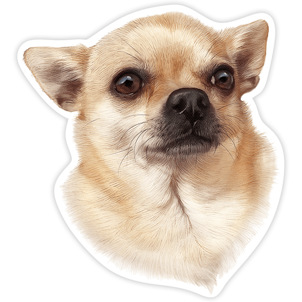 Aufkleber: Chihuahua