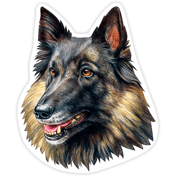 Aufkleber: Belgian Tervuren