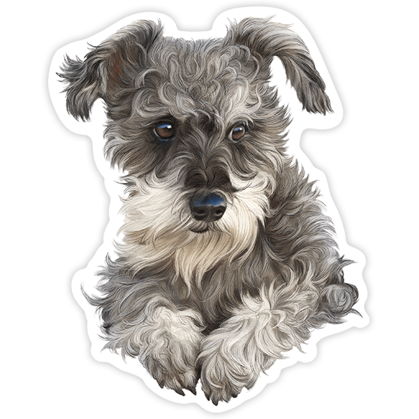 Aufkleber: Schnauzer Welpe