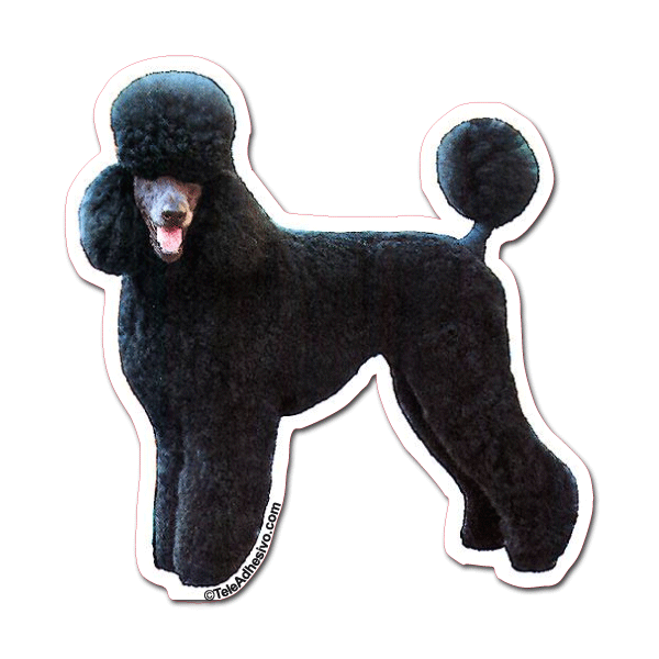 Aufkleber: Black Poodle