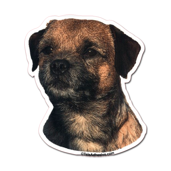 Aufkleber: Border Terrier