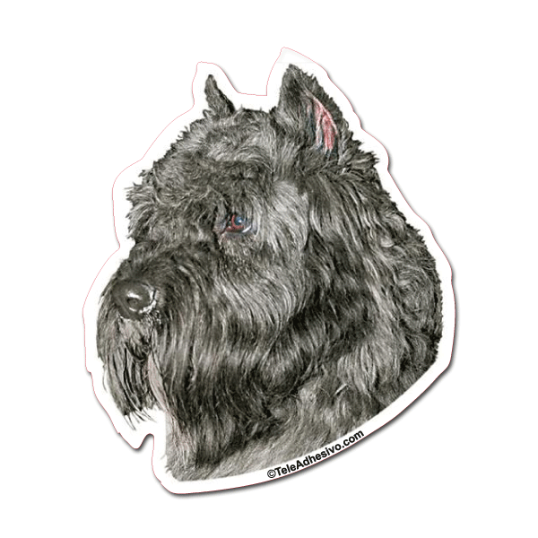 Aufkleber: Bouvier