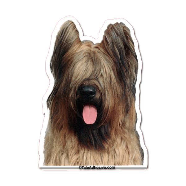 Aufkleber: Briard