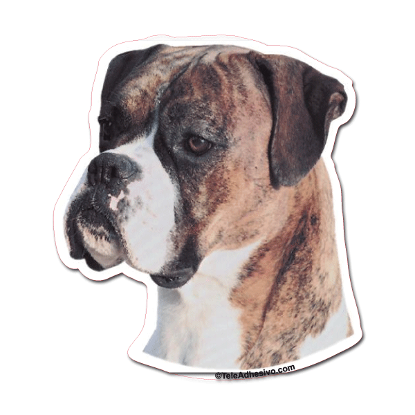 Aufkleber: Brindle Boxer