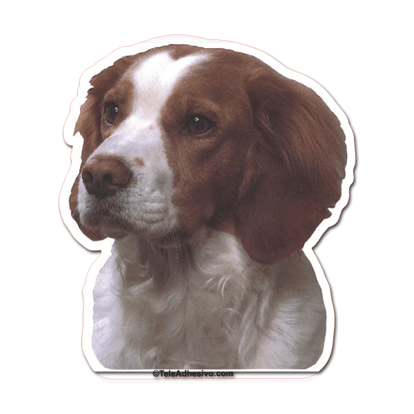 Aufkleber: Brittany