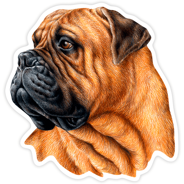 Aufkleber: Bullmastiff