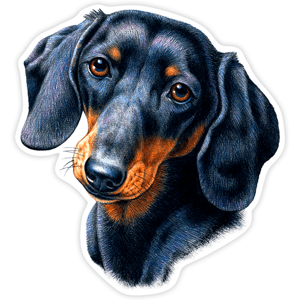 Aufkleber: Dackel (Wursthund)