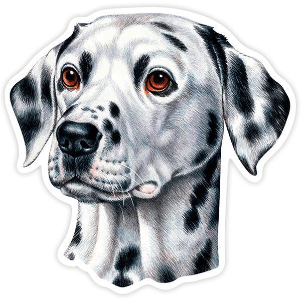 Aufkleber: Dalmatian