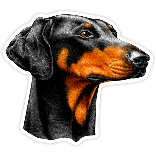 Aufkleber: Doberman