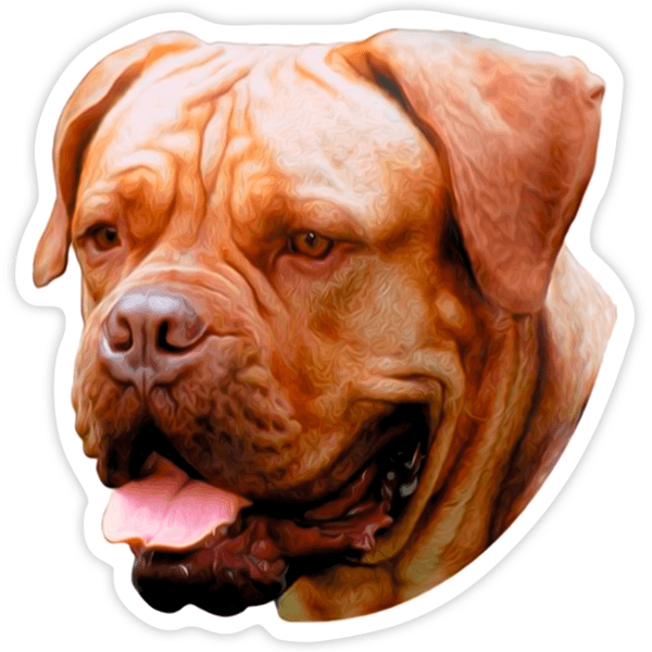 Aufkleber: Dogue De Bordeaux
