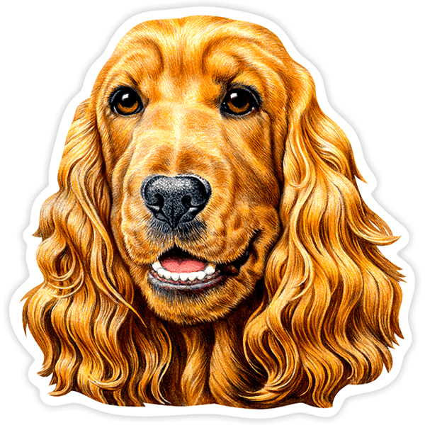 Aufkleber: Brauner Cocker Spaniel