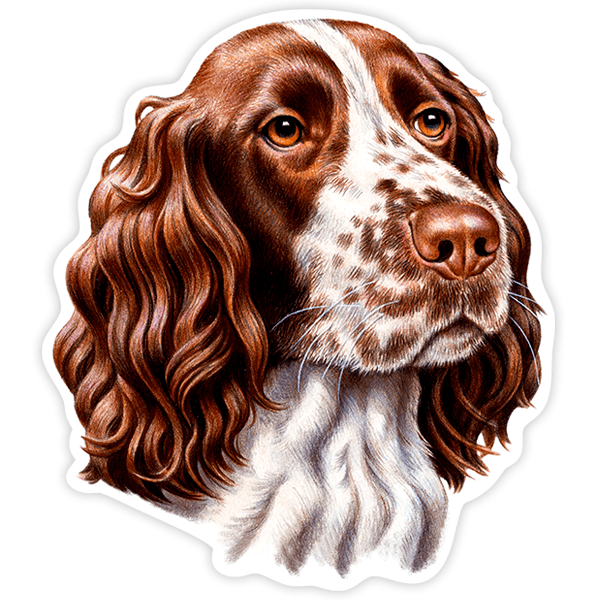 Aufkleber: English Springer Spaniel