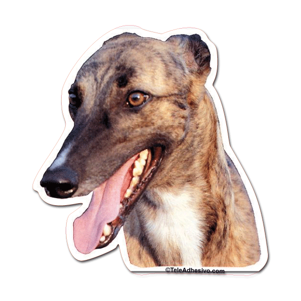 Aufkleber: Greyhound