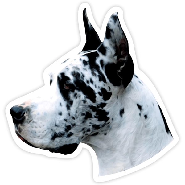 Aufkleber: Harlequin Great Dane