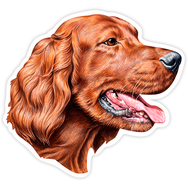 Aufkleber: Irischer Setter