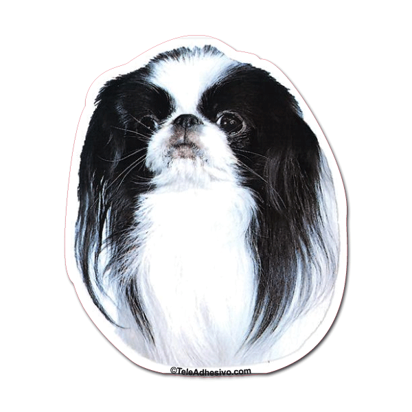 Aufkleber: Japanese Chin