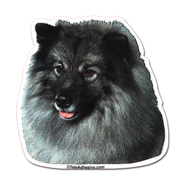 Aufkleber: Keeshond